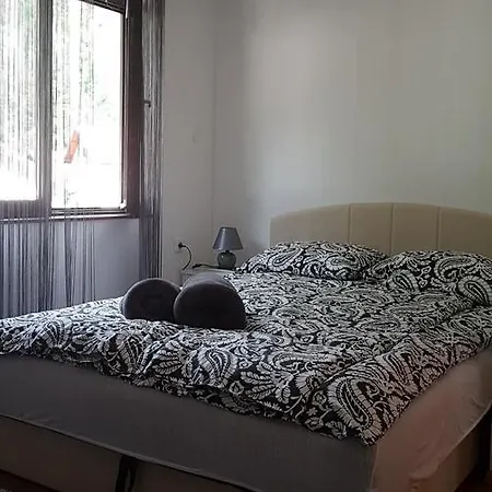 Hostel Urban & *